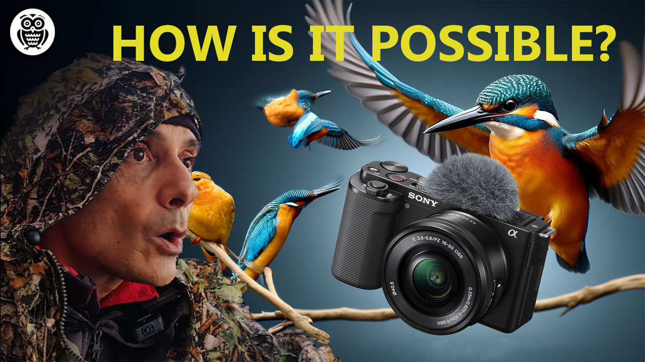 Mastering Bird Photography with Sony ZV-E10 - Streamed by Giuseppe Gessa