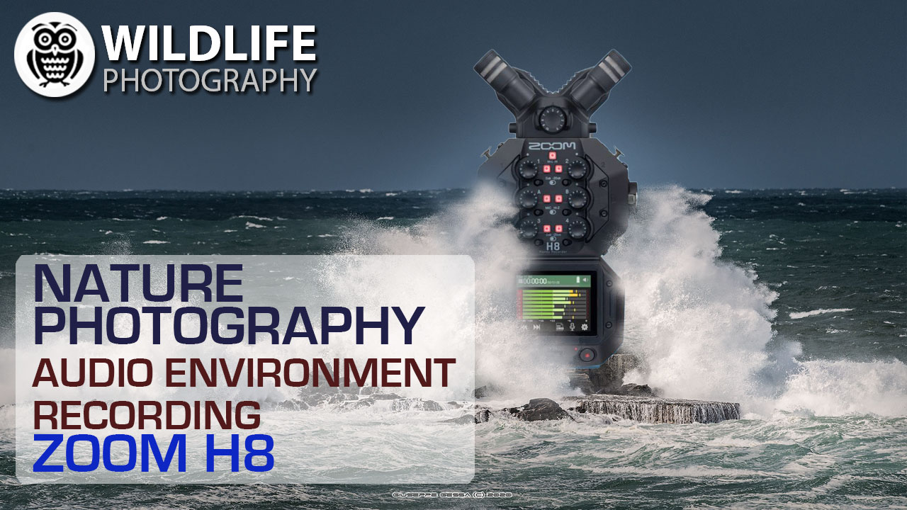 NATURE PHOTOGRAPHY | Audio Enviroment Recording | Zoom H8 - Streamed by Giuseppe Gessa