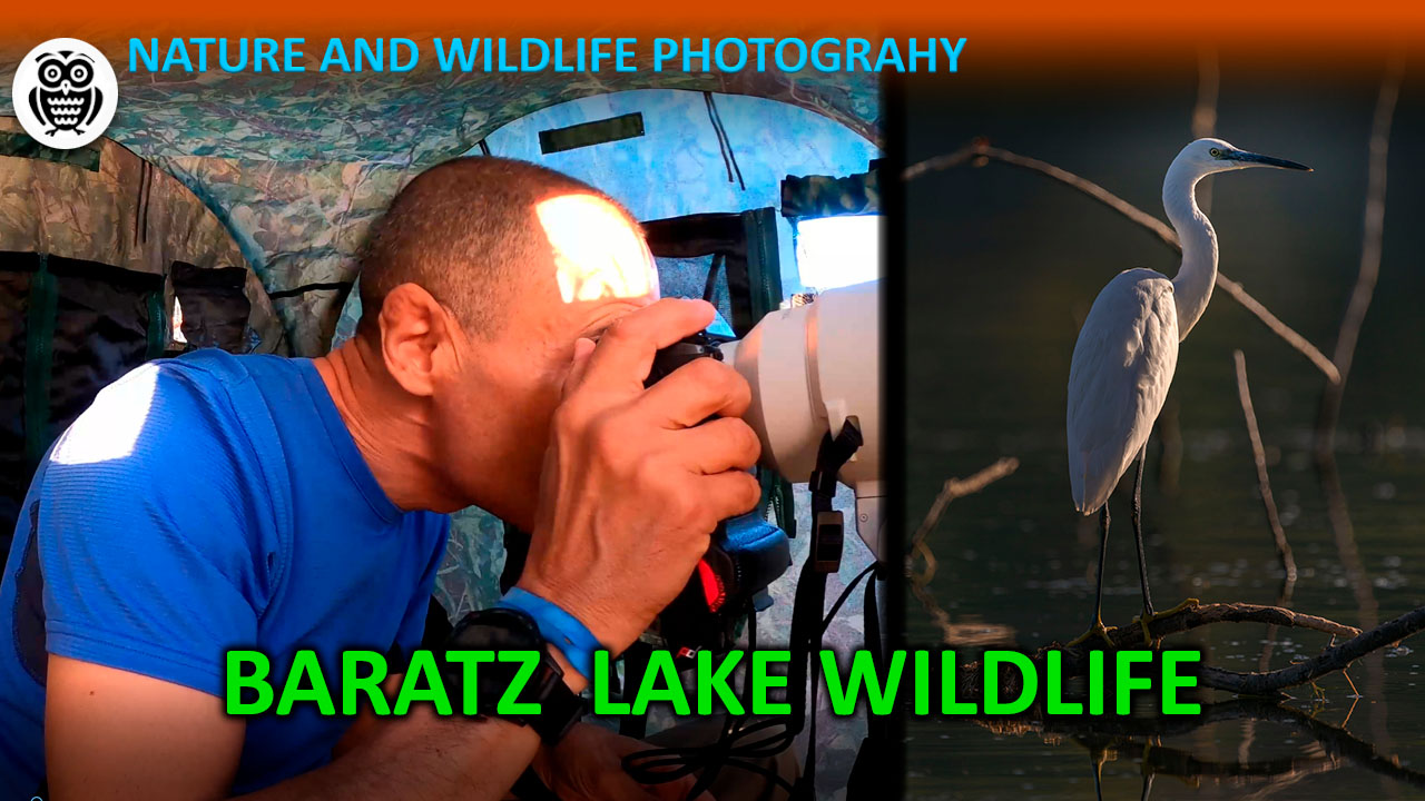 Baratz lake wildlife - Streamed by Giuseppe Gessa